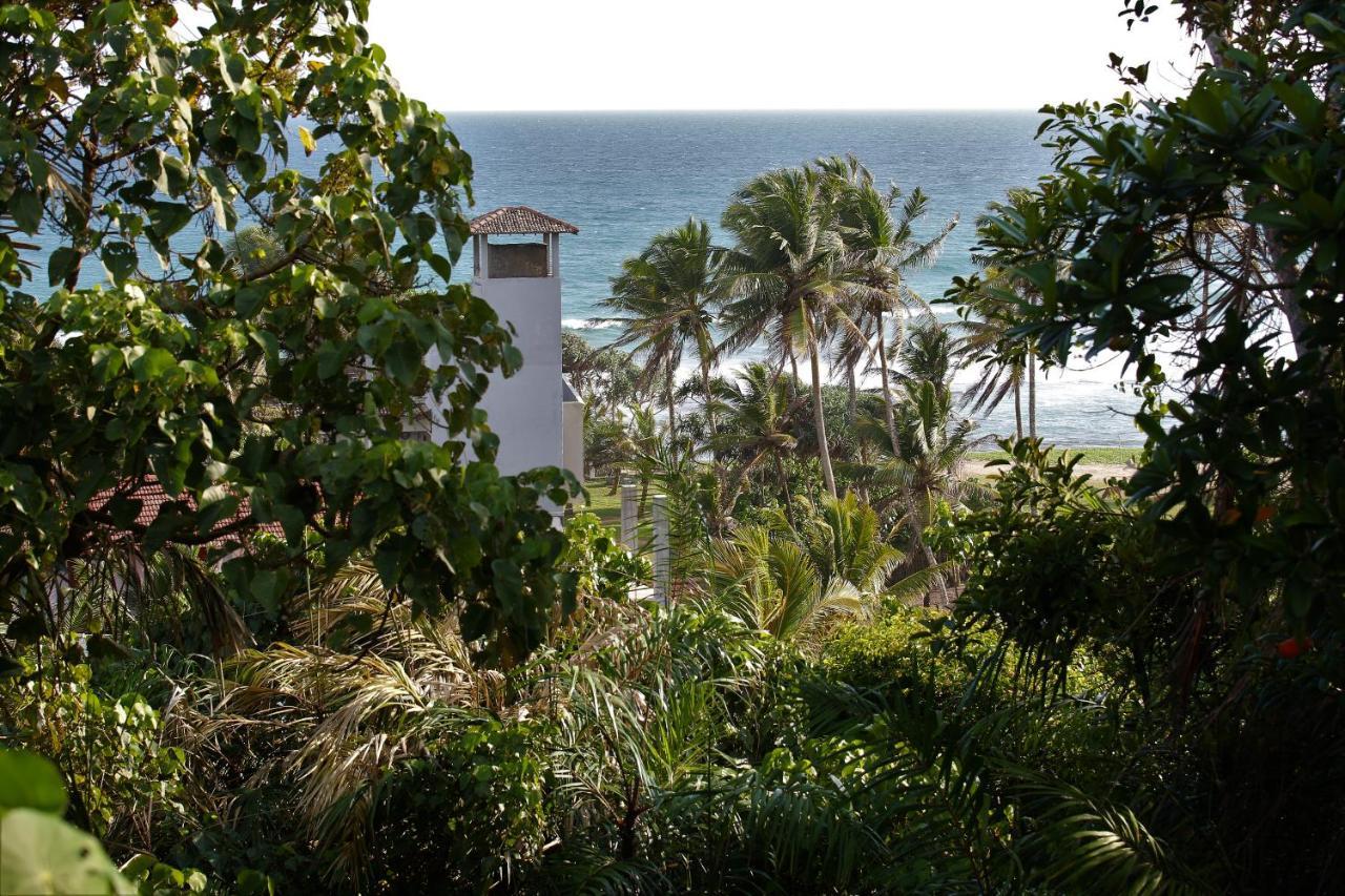 Bed and Breakfast Sky Mountain Cafe With Seaview Weligama Exterior foto